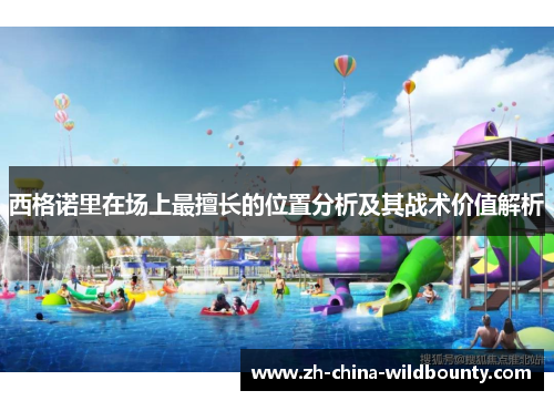 西格诺里在场上最擅长的位置分析及其战术价值解析