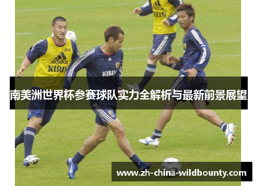南美洲世界杯参赛球队实力全解析与最新前景展望
