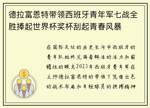 德拉富恩特带领西班牙青年军七战全胜捧起世界杯奖杯刮起青春风暴